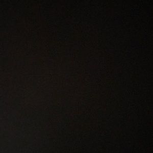 Meet your Posher, Molly